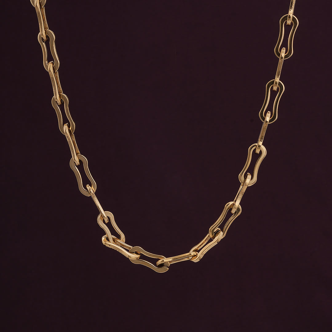 Trendy Bone Link Chain