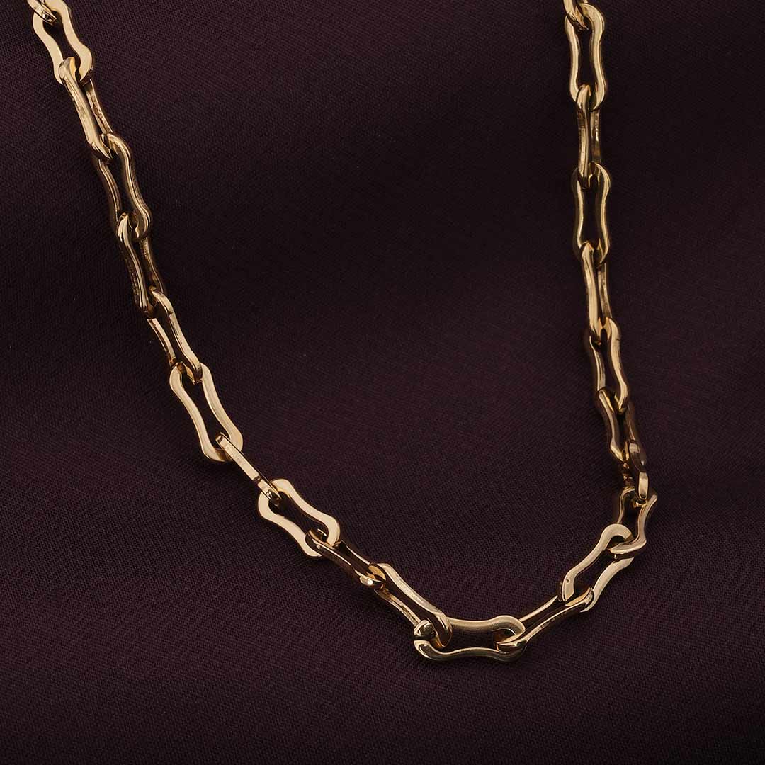 Trendy Bone Link Chain