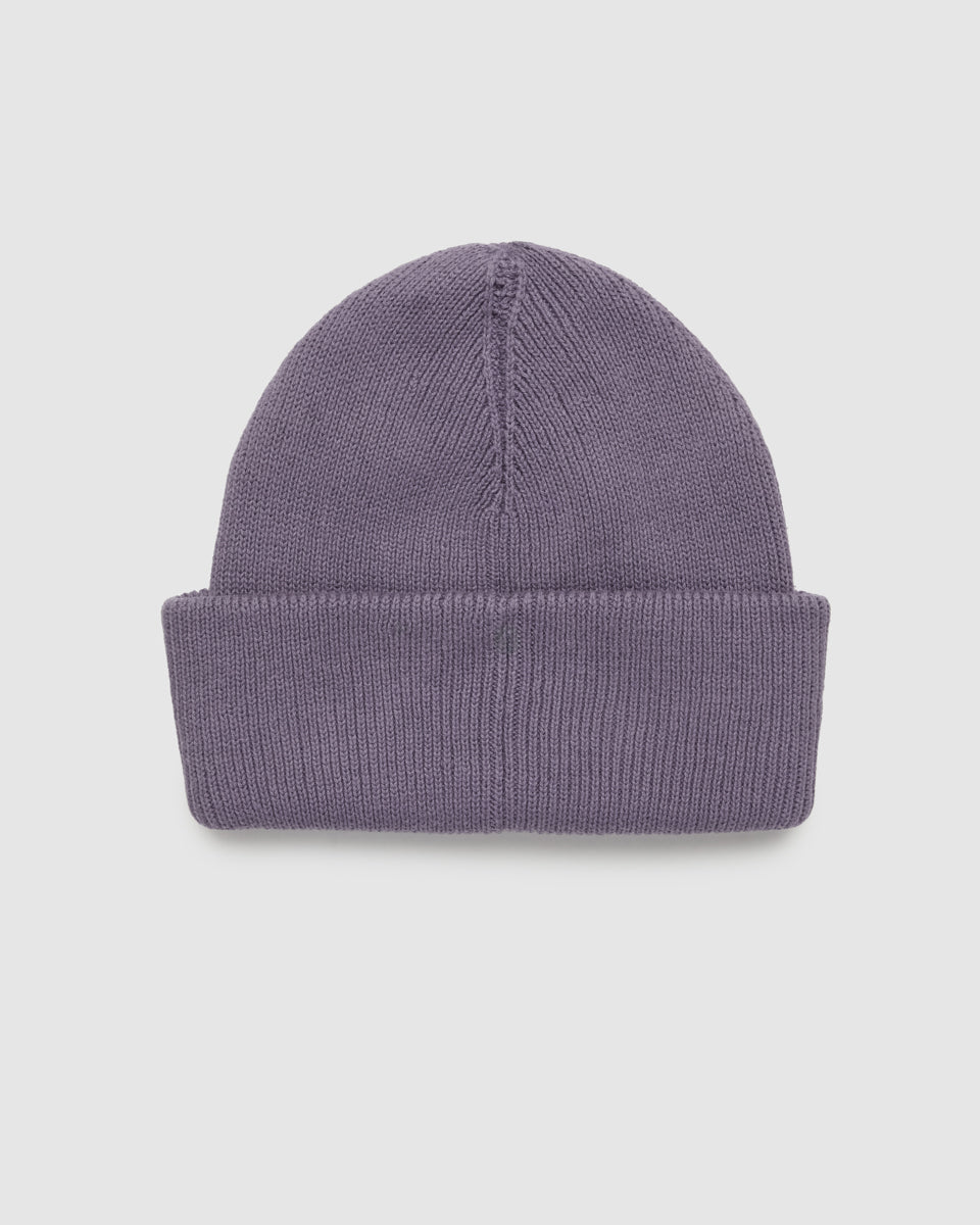 Alden Beanie