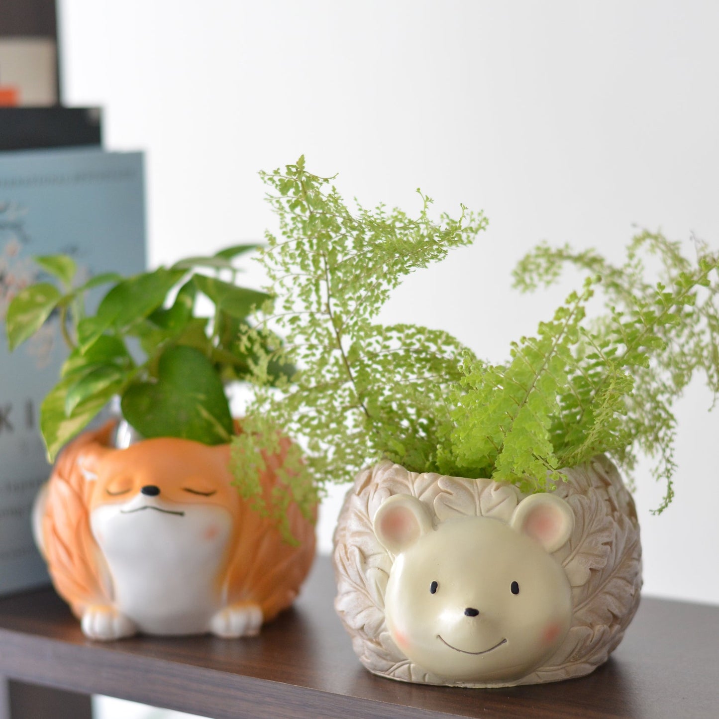 Hedgehog Planter
