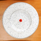 Planterra White Planter With Plate 10x9 Inch