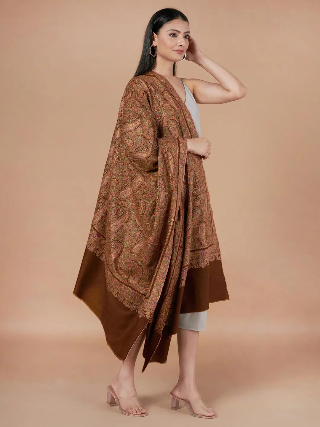 Classic Handloom Pashmina Shawl Jama Embroidery in Brown