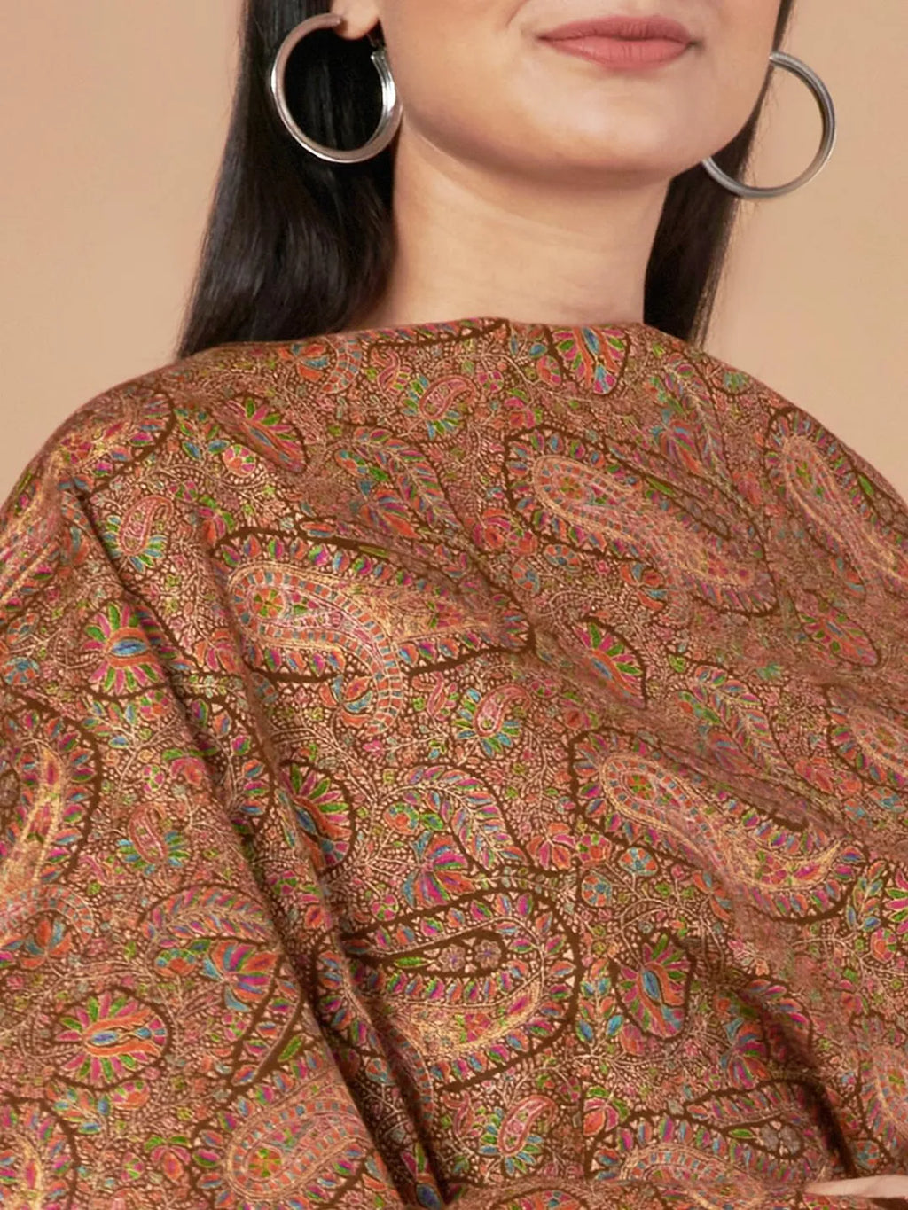 Classic Handloom Pashmina Shawl Jama Embroidery in Brown