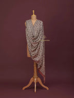 Elegant Cashmina Shawl with Jaal Pattern in Beige