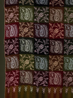 Classic Kaani Handloom Pashmina Shawl in Multi