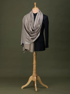 Elegant Handloom Pashmina Shawl Jama Embroidery in Beige