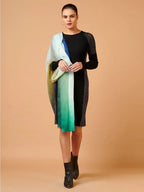 Elegant Cashmere Stole in Multi