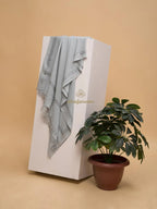 Elegant Stole Wool Blend with Dobby Pattern in Grey