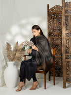 Brown Handloom Pure Pashmina Shawl accented by ornate Ekat