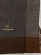 Brown Handloom Pure Pashmina Shawl accented by ornate Ekat