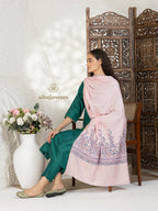 Baby Pink Handloom Pure Pashmina Stole featuring hand-finished Palla Stole detailing