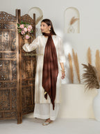 Brown Handloom Pure Pashmina Shawl showcasing refined Check Pattern detailing
