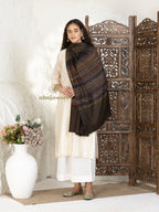 Brown Handloom Pure Pashmina Stole — Ekat Stole in sublime finish