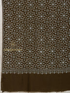 Brown Handloom Pure Pashmina Shawl rendered in Jaal