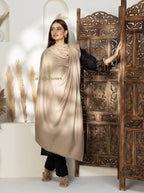 Beige Handloom Pure Pashmina Shawl adorned with sublime Solid detailing