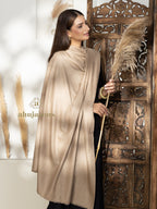 Beige Handloom Pure Pashmina Shawl adorned with sublime Solid detailing