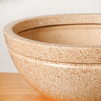 Planterra Beige Round Lotus Planter 15x9 Inch