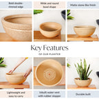 Planterra Beige Round Lotus Planter 15x9 Inch