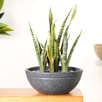 Planterra Granite Black Round Lotus Planter 15x7 Inch