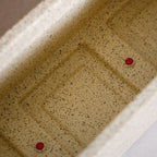 Planterra Modern Beige Trough Planters 24x8 Inch