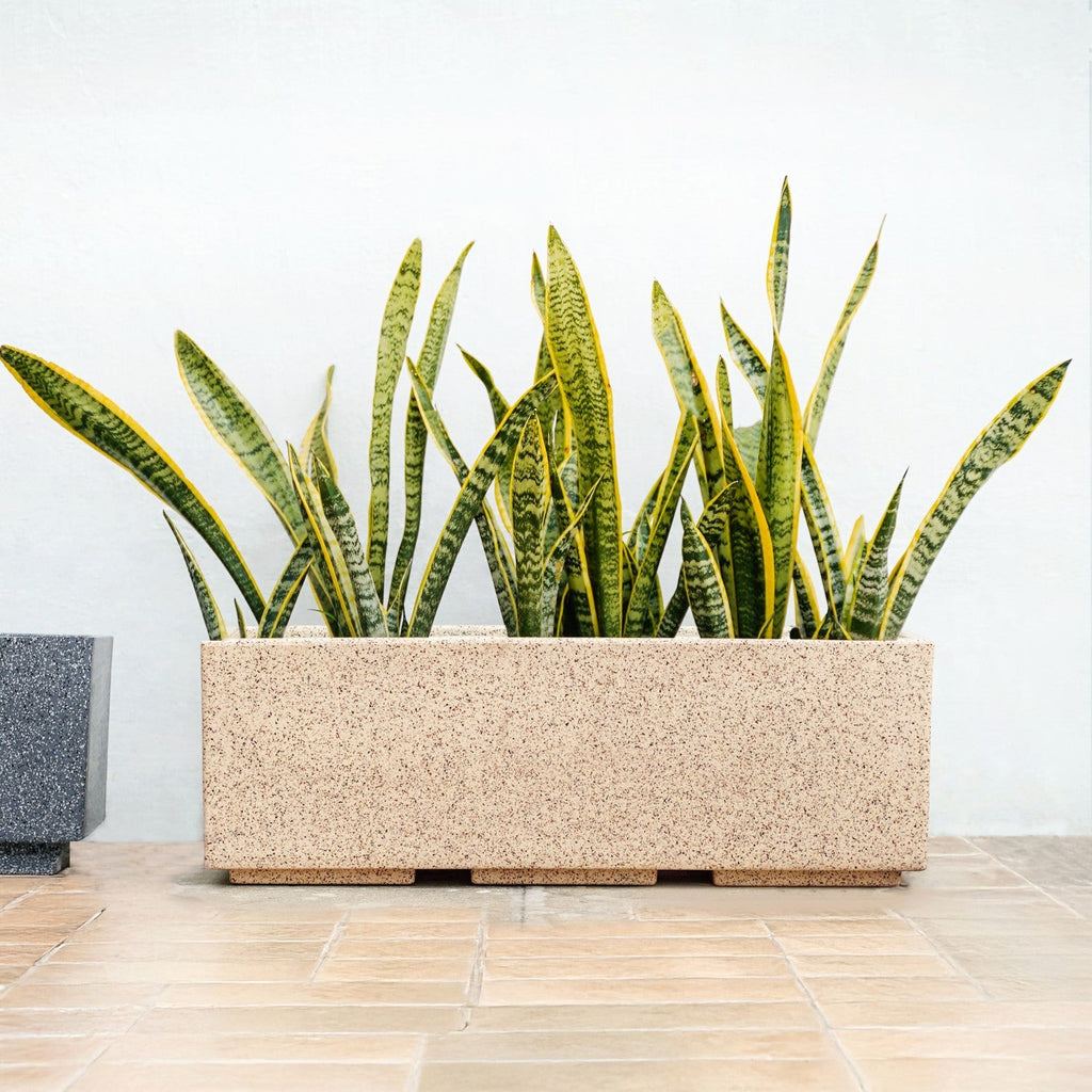 Planterra Modern Beige Trough Planters 24x8 Inch