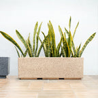 Planterra Modern Beige Trough Planters 24x8 Inch