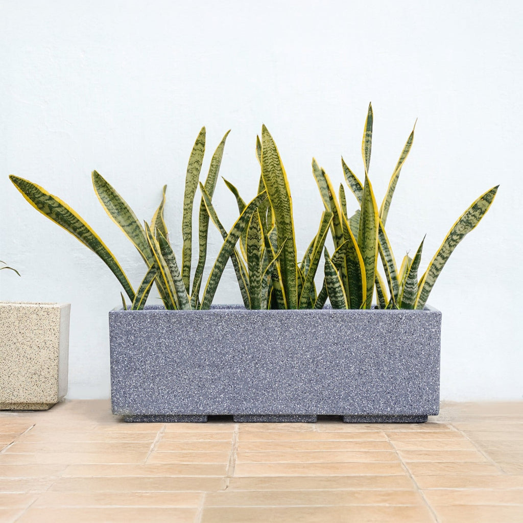 Planterra Modern Grey Trough Planter 24x8 Inch