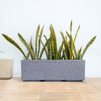 Planterra Modern Grey Trough Planter 24x8 Inch