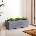 Planterra Modern Grey Trough Planter 24x8 Inch