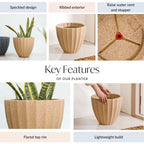 Planterra Ribbed Beige Planting Pot 12x12 Inch