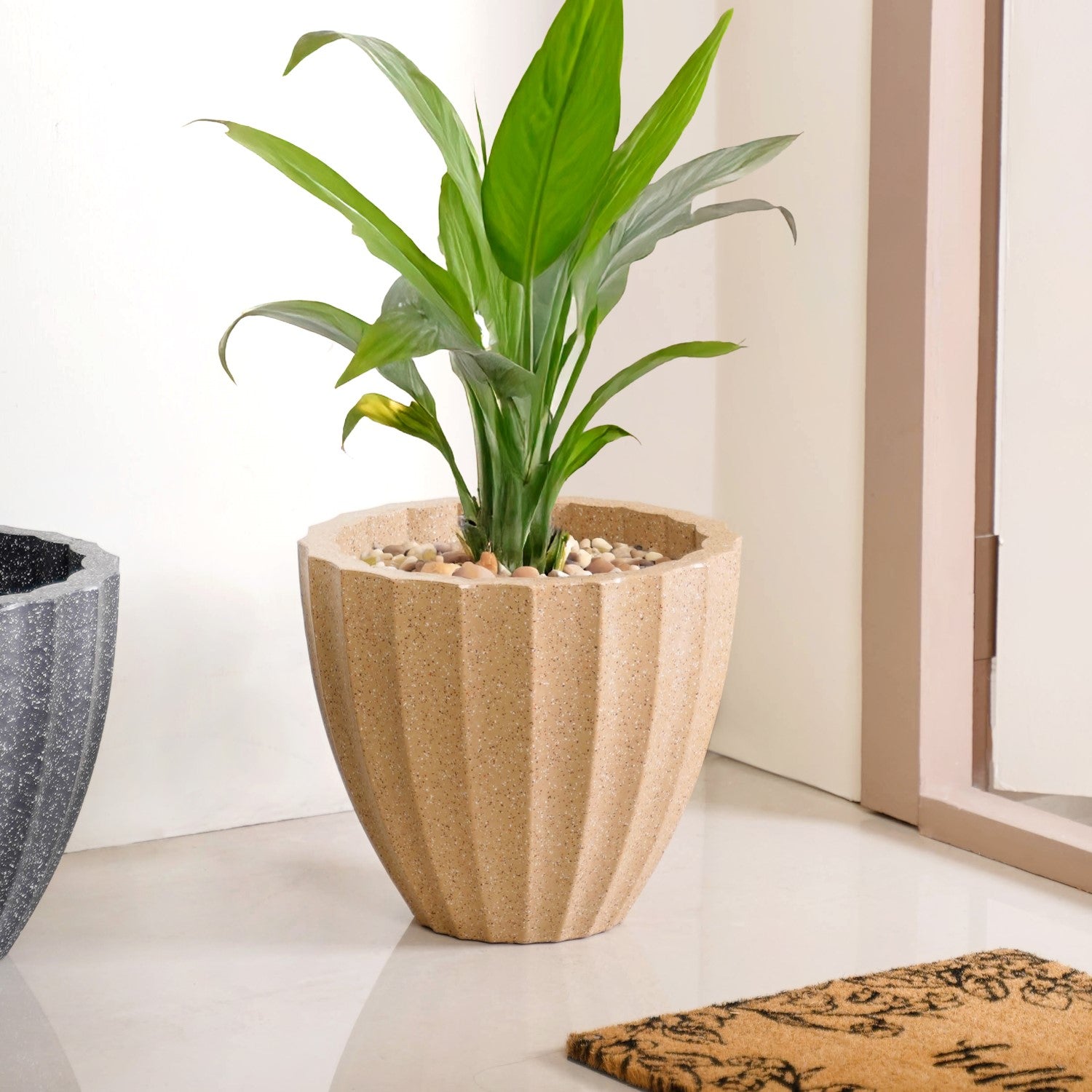 Planterra Ribbed Beige Planting Pot 12x12 Inch