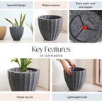 Planterra Ribbed Black Planting Pot 12x12 Inch