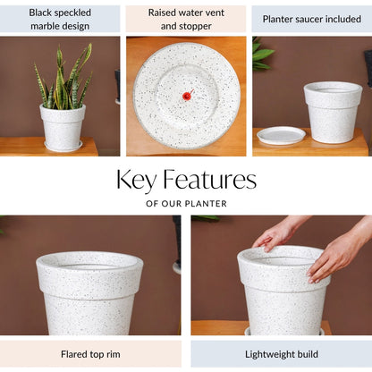 Planterra White Planter With Plate 10x9 Inch
