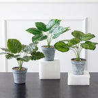 Artificial Plant in Pot