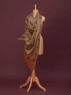Classic Cashmina Shawl with Jaal Pattern in Beige