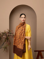 Classic Handloom Pashmina Shawl Jama Embroidery in Brown