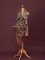 Elegant Cashmina Shawl with Jaal Pattern in Beige