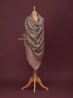 Elegant Cashmina Shawl with Jaal Pattern in Beige
