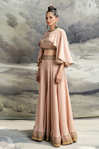 Baby Pink Sharara Set | BARODA