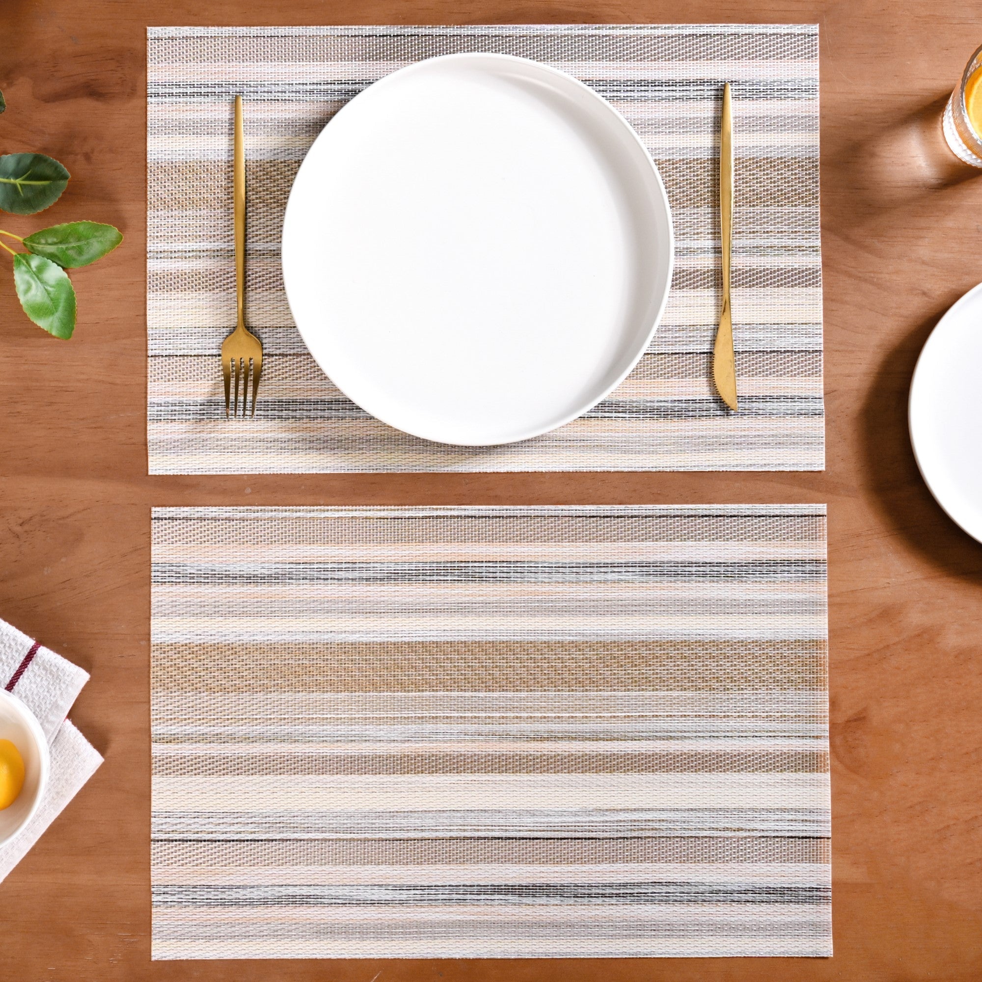Beige and Brown Placemats Set Of 6