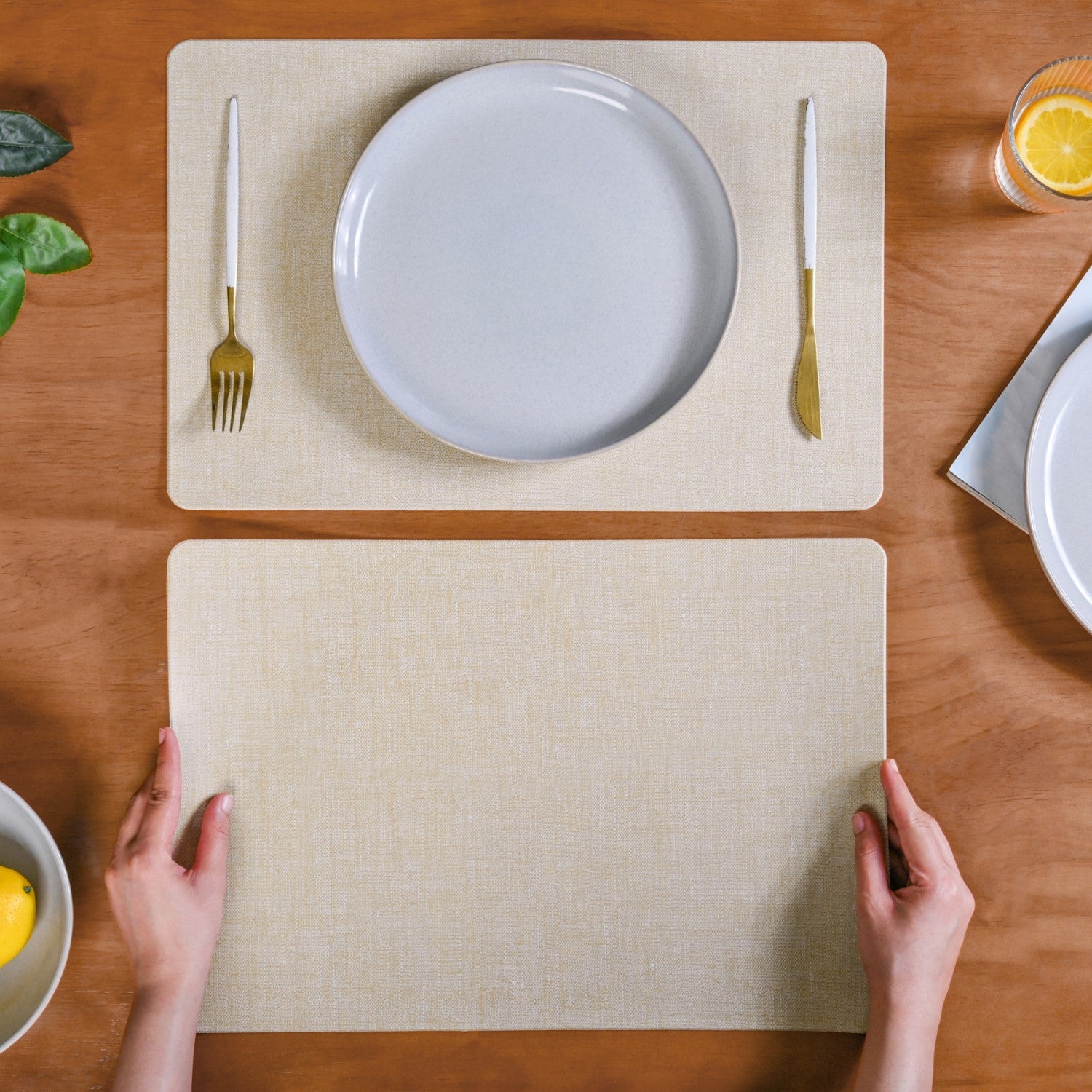 Rectangular Beige Dining Table Mat Set Of 6