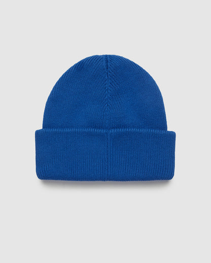 Alden Beanie
