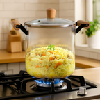 Borosilicate Simmer Pot With Lid And Handle Extra Large 5500ml