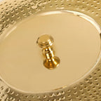 Pure Brass Hammered Masala Box Set With Spoon