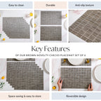 Brown Novelty Checks Placemat Set Of 6
