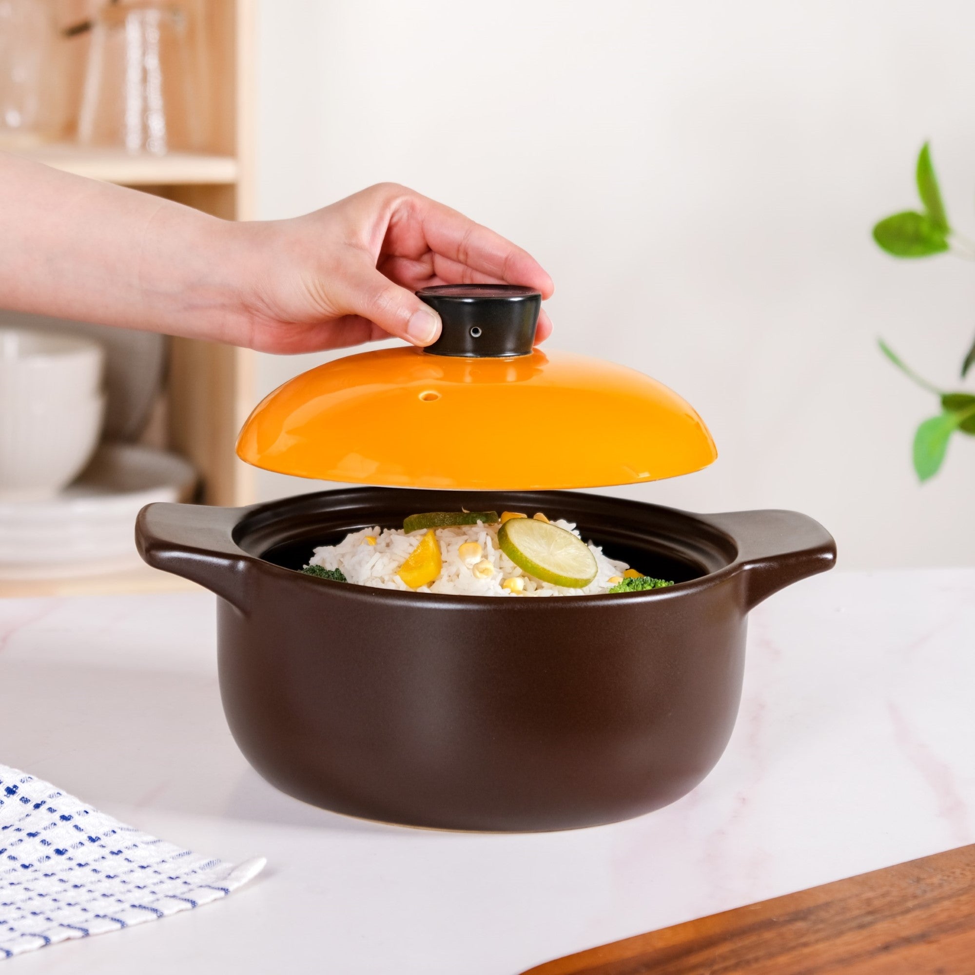 Clementine Japanese Cooking Pot 2200ml