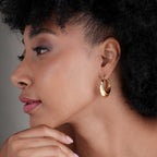 Ecliptic Gold Arc Earrings