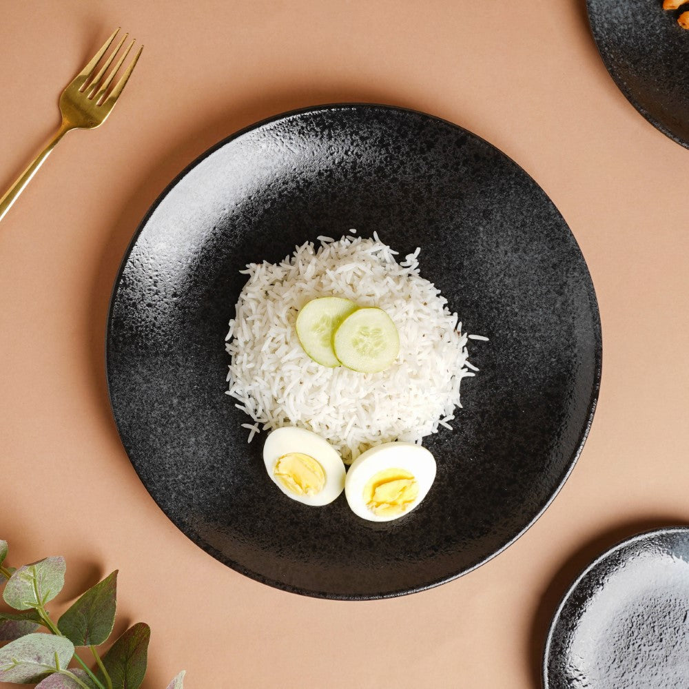 Onyx Finish Stoneware Dinner Plate Black 9.8 Inch