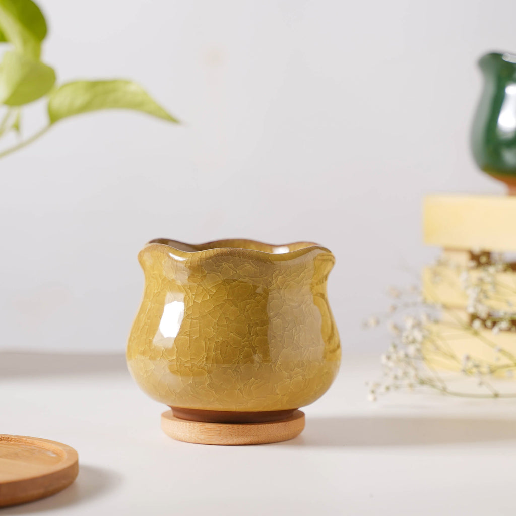 Botanica Ochre Ceramic Planter With Coaster