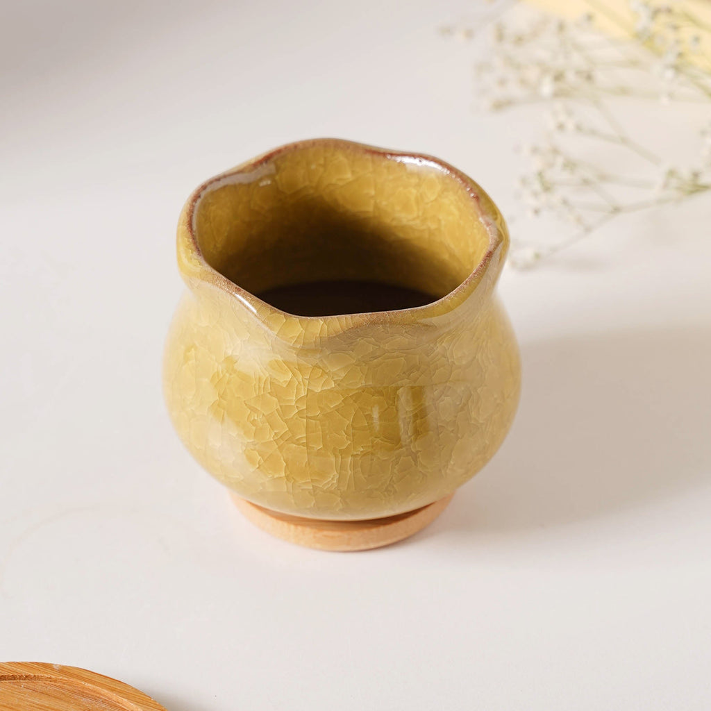 Botanica Ochre Ceramic Planter With Coaster